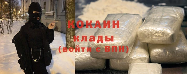 шишки Гусь-Хрустальный