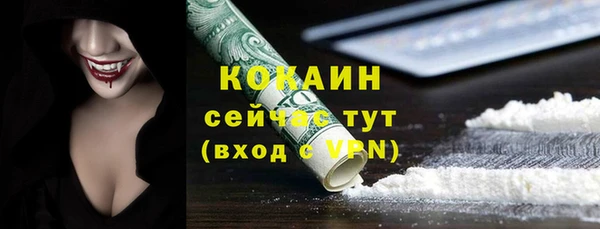 шишки Гусь-Хрустальный
