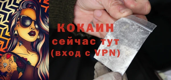 шишки Гусь-Хрустальный