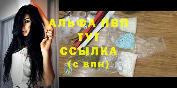 шишки Гусь-Хрустальный