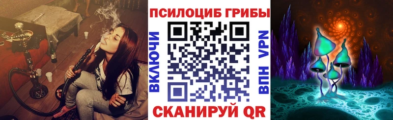 Псилоцибиновые грибы Psilocybe  Новозыбков 