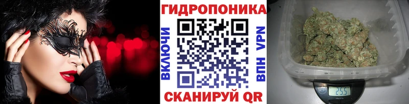 Конопля THC 21%  blacksprut онион  Новозыбков 